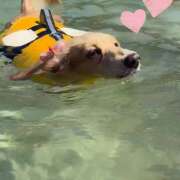 ヒメ日記 2025/08/29 13:20 投稿 戸郷 MadameRest(マダムレスト)