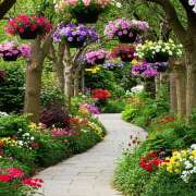 ヒメ日記 2025/09/11 14:54 投稿 戸郷 MadameRest(マダムレスト)