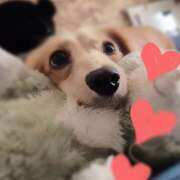 ヒメ日記 2025/09/13 15:25 投稿 戸郷 MadameRest(マダムレスト)