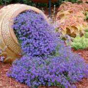 ヒメ日記 2025/10/04 15:21 投稿 戸郷 MadameRest(マダムレスト)