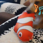 ヒメ日記 2025/10/09 14:22 投稿 戸郷 MadameRest(マダムレスト)