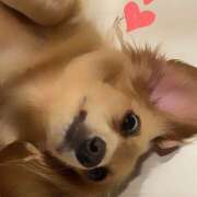 ヒメ日記 2025/10/10 12:19 投稿 戸郷 MadameRest(マダムレスト)