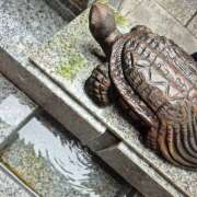 ヒメ日記 2025/10/20 08:30 投稿 戸郷 MadameRest(マダムレスト)