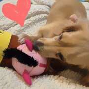 ヒメ日記 2025/10/20 18:31 投稿 戸郷 MadameRest(マダムレスト)