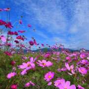 ヒメ日記 2025/10/27 13:40 投稿 戸郷 MadameRest(マダムレスト)