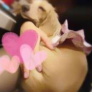 ヒメ日記 2025/10/27 15:25 投稿 戸郷 MadameRest(マダムレスト)