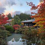 ヒメ日記 2025/11/07 11:33 投稿 戸郷 MadameRest(マダムレスト)