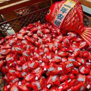 ヒメ日記 2025/11/09 13:05 投稿 戸郷 MadameRest(マダムレスト)