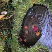 ヒメ日記 2025/11/13 14:29 投稿 戸郷 MadameRest(マダムレスト)