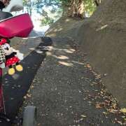 ヒメ日記 2025/11/19 09:44 投稿 戸郷 MadameRest(マダムレスト)