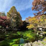 ヒメ日記 2025/11/27 03:53 投稿 戸郷 MadameRest(マダムレスト)