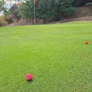 ヒメ日記 2025/12/02 13:10 投稿 戸郷 MadameRest(マダムレスト)