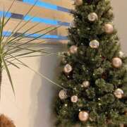 ヒメ日記 2025/12/24 05:39 投稿 戸郷 MadameRest(マダムレスト)