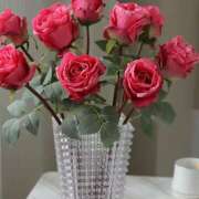 ヒメ日記 2025/12/29 11:18 投稿 戸郷 MadameRest(マダムレスト)