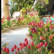 ヒメ日記 2026/01/11 11:32 投稿 戸郷 MadameRest(マダムレスト)