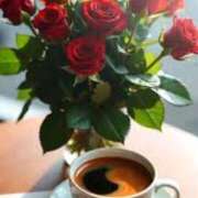 ヒメ日記 2026/01/17 07:05 投稿 戸郷 MadameRest(マダムレスト)