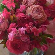 ヒメ日記 2026/01/23 11:10 投稿 戸郷 MadameRest(マダムレスト)