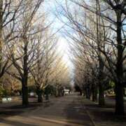 ヒメ日記 2026/01/23 14:49 投稿 戸郷 MadameRest(マダムレスト)