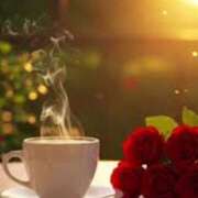 ヒメ日記 2026/01/24 07:38 投稿 戸郷 MadameRest(マダムレスト)