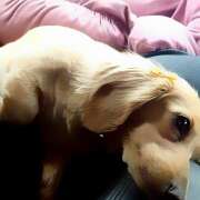 ヒメ日記 2026/02/13 15:01 投稿 戸郷 MadameRest(マダムレスト)