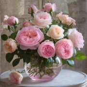 ヒメ日記 2026/02/17 10:57 投稿 戸郷 MadameRest(マダムレスト)