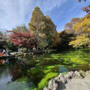 ヒメ日記 2026/02/27 14:58 投稿 戸郷 MadameRest(マダムレスト)