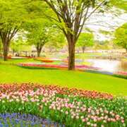 ヒメ日記 2026/02/28 12:56 投稿 戸郷 MadameRest(マダムレスト)