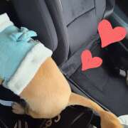 ヒメ日記 2026/03/04 14:12 投稿 戸郷 MadameRest(マダムレスト)