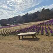 戸郷 ✨🪷お散歩🪷✨ MadameRest(マダムレスト)