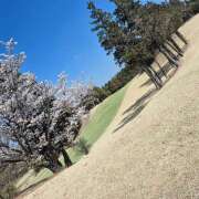 ヒメ日記 2026/03/25 07:19 投稿 戸郷 MadameRest(マダムレスト)