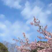 ヒメ日記 2026/03/28 13:48 投稿 戸郷 MadameRest(マダムレスト)