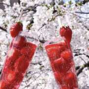 ヒメ日記 2026/04/06 06:01 投稿 戸郷 MadameRest(マダムレスト)