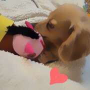 ヒメ日記 2026/04/16 09:35 投稿 戸郷 MadameRest(マダムレスト)