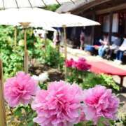 ヒメ日記 2026/05/01 12:55 投稿 戸郷 MadameRest(マダムレスト)