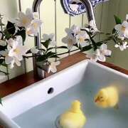 ヒメ日記 2026/07/13 14:47 投稿 戸郷 MadameRest(マダムレスト)
