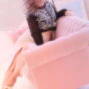 ヒメ日記 2026/01/27 15:52 投稿 めいさ 梅田アバンチュール