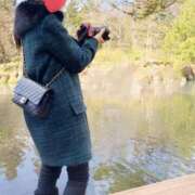 ヒメ日記 2026/02/11 08:19 投稿 ゆうり sweet kiss