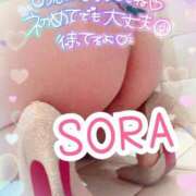 ヒメ日記 2025/02/01 20:01 投稿 ソラ Ageha(アゲハ)