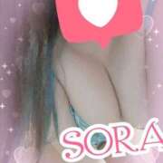 ヒメ日記 2025/02/17 16:00 投稿 ソラ Ageha(アゲハ)