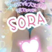 ヒメ日記 2025/02/17 23:31 投稿 ソラ Ageha(アゲハ)