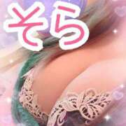 ヒメ日記 2025/03/01 13:47 投稿 ソラ Ageha(アゲハ)