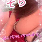 ヒメ日記 2025/03/02 13:00 投稿 ソラ Ageha(アゲハ)