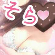 ヒメ日記 2025/03/15 12:35 投稿 ソラ Ageha(アゲハ)