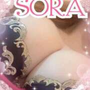 ヒメ日記 2025/03/19 21:31 投稿 ソラ Ageha(アゲハ)