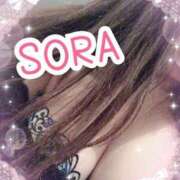 ヒメ日記 2025/04/01 18:36 投稿 ソラ Ageha(アゲハ)