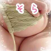 ヒメ日記 2025/05/05 18:53 投稿 ソラ Ageha(アゲハ)