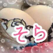 ヒメ日記 2025/06/02 13:20 投稿 ソラ Ageha(アゲハ)