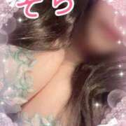 ヒメ日記 2025/12/26 17:25 投稿 ソラ Ageha(アゲハ)