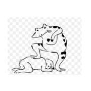 ヒメ日記 2025/06/15 00:19 投稿 ひとみ VIVIDCREWマダムセカンドバージン 梅田店