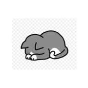 ヒメ日記 2025/08/24 06:27 投稿 ひとみ VIVIDCREWマダムセカンドバージン 梅田店